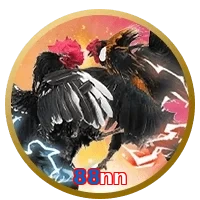 88nn